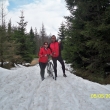 Nov� Hut�.