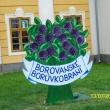 Borvkobran.