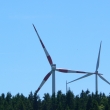 ern v Poumav - Vesel nad Lunic